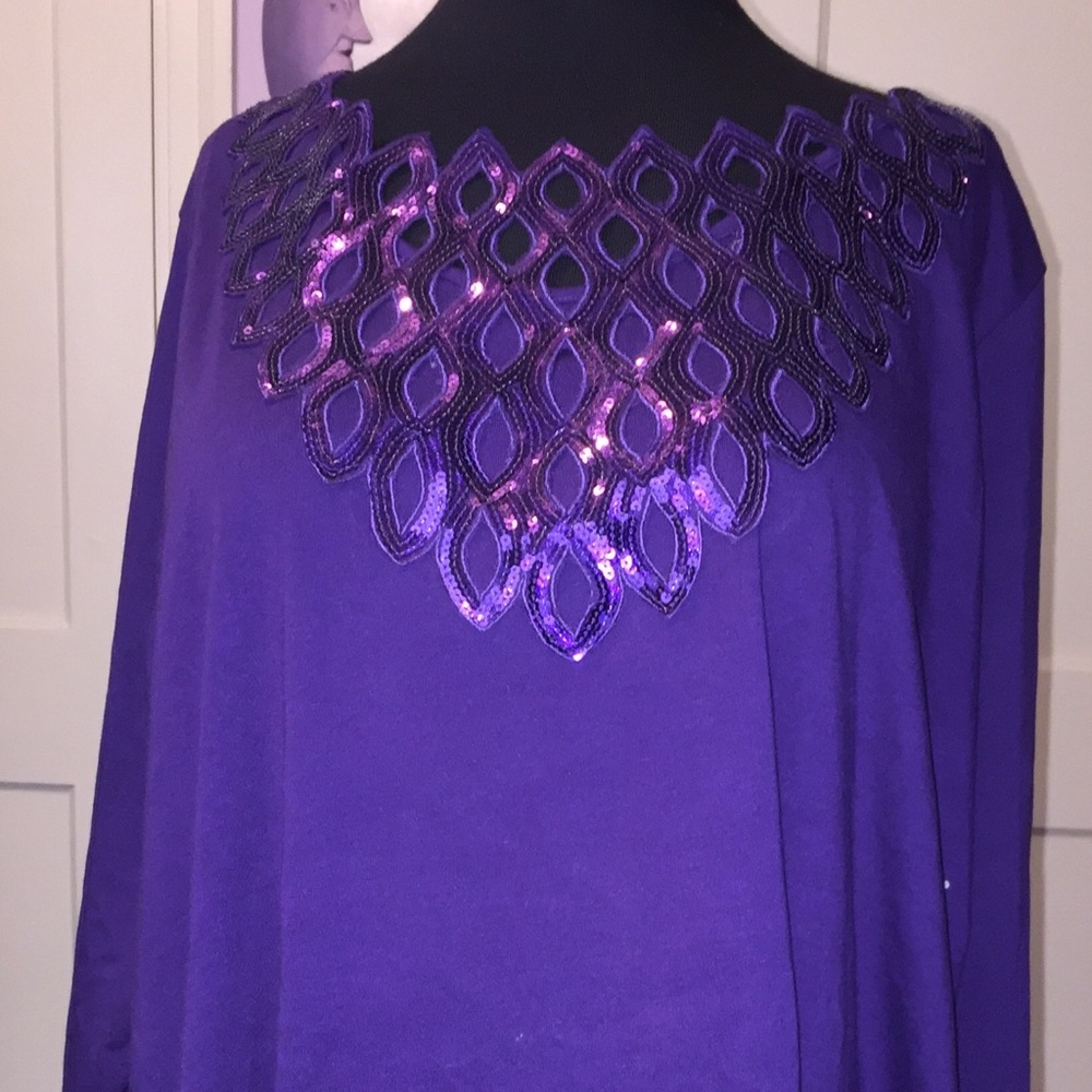 Sexy Deep Purple Top Roaman's 26/28